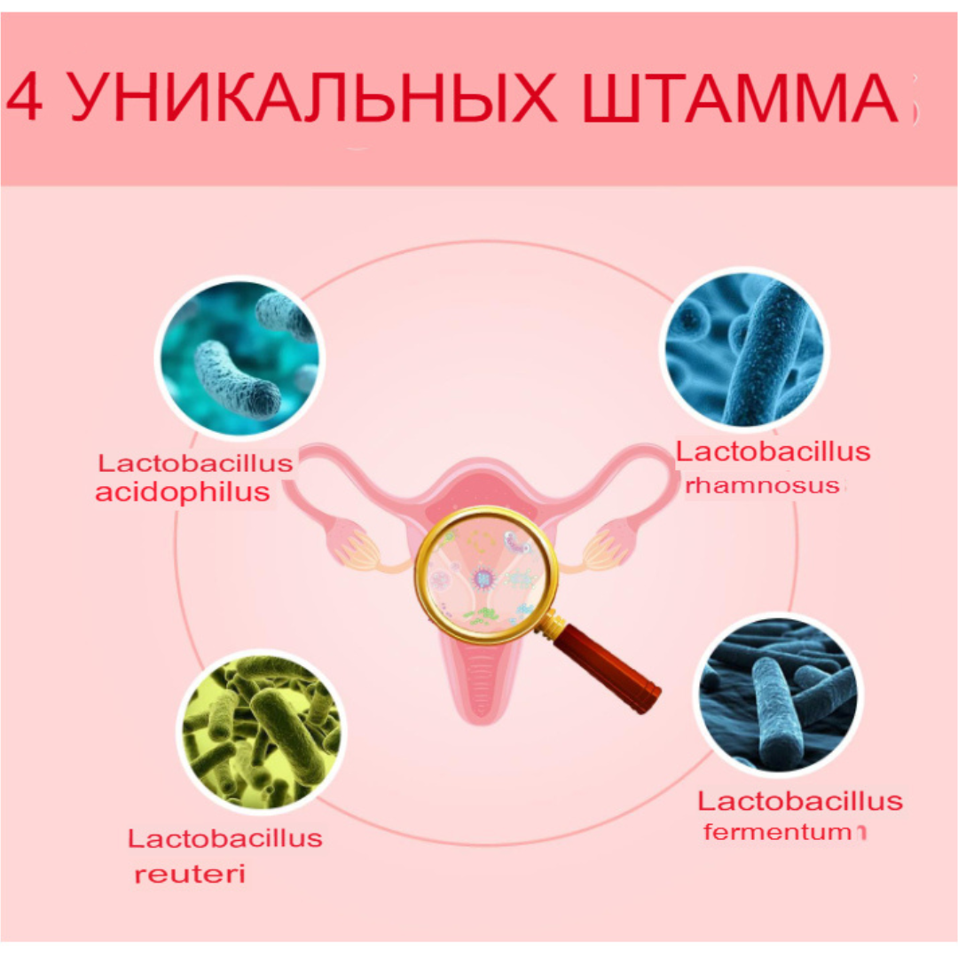 pH Harmony Kvinnors Probiotika | Med Prebiotika & Lactobacillus för Vaginal Hälsa