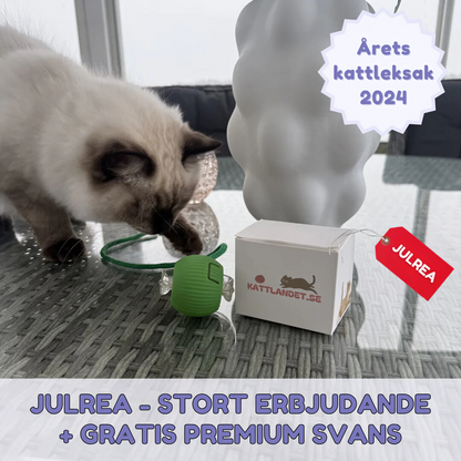 Kattlycka (3 pieces) – Självgående katt leksak som håller din katt aktiv och glad